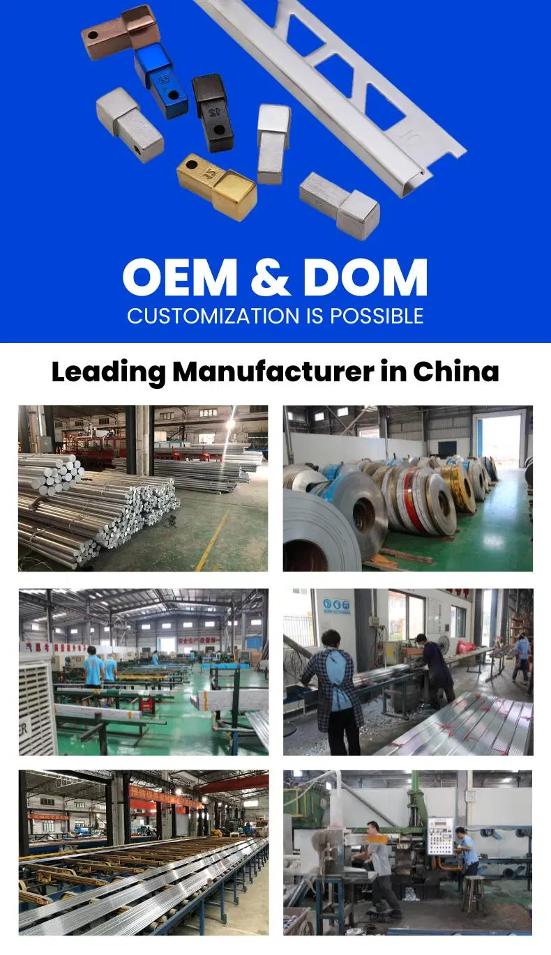 OEM Foshan Factory Free Sample Metal Transition Strips Aluminium T Shaped Tile Trim